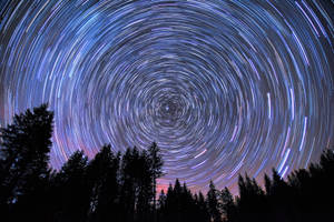 星軌在夜間黑暗森林上方旋轉。 — 星星 壁紙