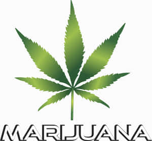 綠色大麻葉標誌，下方有粗體文字 marijuana。