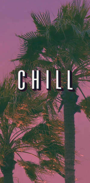 粉紅色天空下的棕櫚樹，帶有「CHILL」文字，營造放鬆氛圍。