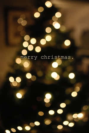 模糊的聖誕樹燈光與 'merry christmas' 文字。 — 美麗聖誕 壁紙