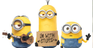 三個Minions，一個彈奏烏克麗麗，一個舉著寫有I'M WITH STUPID的牌子，一個揮手。