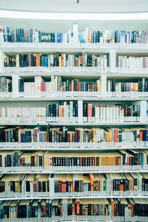 白色圖書館書架上的書本在明亮燈光下排列。