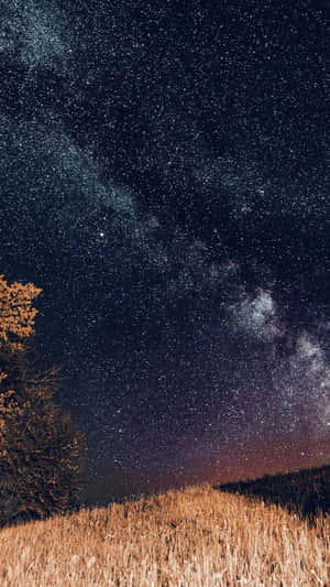 繁星點點的夜空，銀河在金色草地和樹上