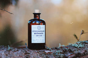 森林中長滿苔蘚的樹枝上的一瓶 Stockholm Bränneri 乾氈酒。