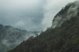 多雲天空下，濃密森林覆蓋的霧氣山脈 — 迷霧森林 壁紙