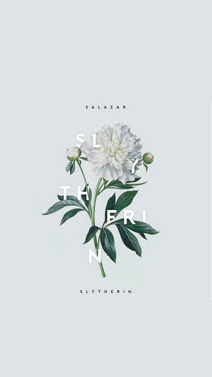 白色牡丹，帶有深綠色葉片，並將Slytherin一詞融入莖部。