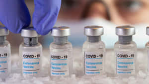 戴藍色手套的手在冰上處理COVID-19疫苗小瓶。