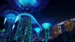 未來主義城市公園夜間發光的巨大藍色樹木。