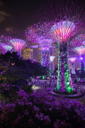 夜晚的城市公園中，發光的未來主義樹狀結構，周圍有人走動。