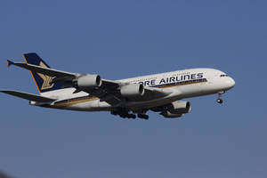 新加坡航空A380飛機在藍天下降落，起落架放下