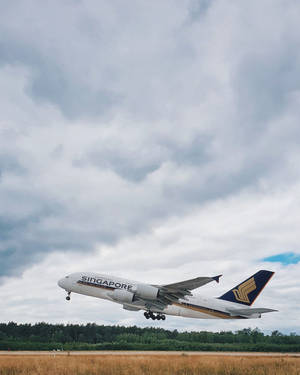 新加坡航空A380飛機在多雲的天空下靠近森林起飛。