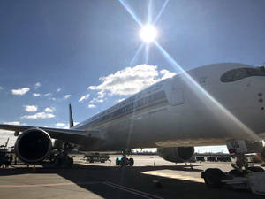 阿聯酋航空飛機停泊在陽光明媚的機場停機坪上，帶有太陽耀斑。
