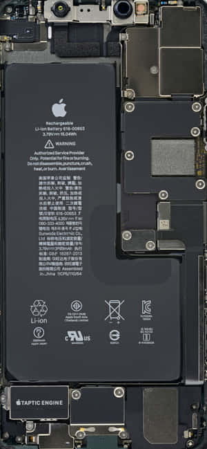 顯示電池和 Taptic Engine 的 iPhone 內部
