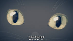 貓咪發光眼睛的特寫，帶有鬍鬚，背景為灰色。 — 可愛貓咪 壁紙