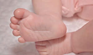 白色毛毯上的嬰兒腳丫