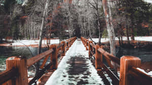 冬季森林中橫跨河流的積雪木橋。 — 冬天 壁紙