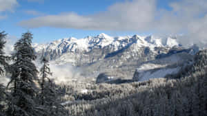 冬季山谷中，有霜凍樹木和雲朵的雪山脈。 — 冬天 壁紙