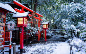 被雪覆蓋的紅色鳥居和燈籠在寧靜的日本神社森林中。 — 16:10 壁紙