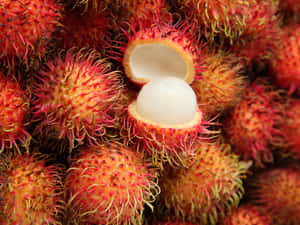 一堆紅色多毛紅毛丹，其中一粒裂開顯示白色果肉。