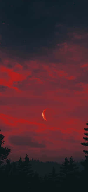 夜晚黑暗森林上方帶有新月的紅色天空 — Xiaomi 15 Ultra 壁紙