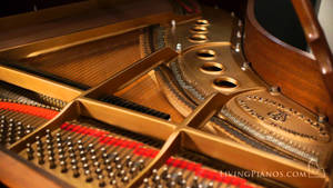 Steinway 三角鋼琴內部機械和琴弦的特寫。