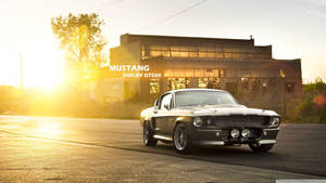 金色夕陽下，停放在城市街道上的銀色Shelby GT500 Mustang。