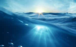 陽光穿過海浪，營造出寧靜的水下場景，漂浮著氣泡。