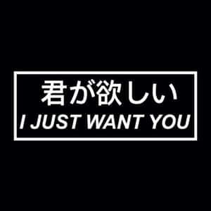 黑色背景，矩形內有白色文字「君が欲しい I JUST WANT YOU」。