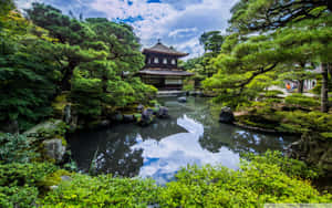 傳統日本亭閣在寧靜的花園中，有池塘和綠植。