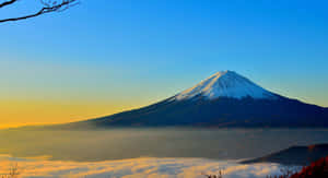 日出時雲海之上的富士山，前景有光禿的樹枝 — 藝術 壁紙