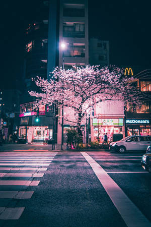 櫻花樹在東京夜晚的城市燈光下閃耀粉紅色。 — 日本 壁紙
