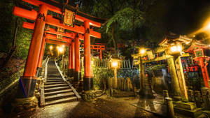 夜晚燈籠照亮紅色鳥居，在森林神社的石徑上。 — 日本武士 壁紙