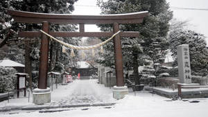 雪覆蓋了日本神社入口的木製鳥居。