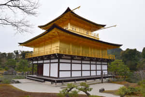 陰天時被池塘和樹木環繞的金色寺廟亭閣 — 日本 壁紙