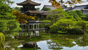 日本寺廟亭閣倒映在平靜的池塘中，周圍有綠樹。