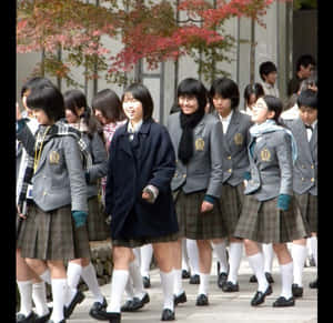 穿著校服的日本女學生在戶外秋天的紅葉樹下行走。