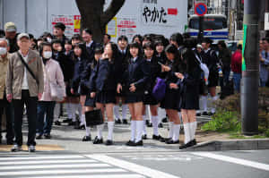 穿著校服的日本女學生在城市的行人過路處等候，旁邊有成年人和車輛。