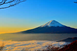富士山在日出時聳立於雲海之上，由光禿的樹枝框住。