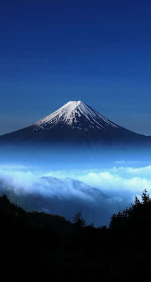 暮色中富士山聳立於雲端之上，下方有深色樹木剪影。