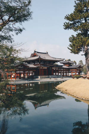 晴朗日子裡，一座日本寺廟倒映在松樹環繞的池塘中。