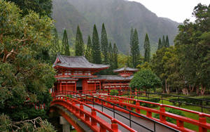 通往坐落在綠色森林和山脈中的日本寺廟的紅色木橋。