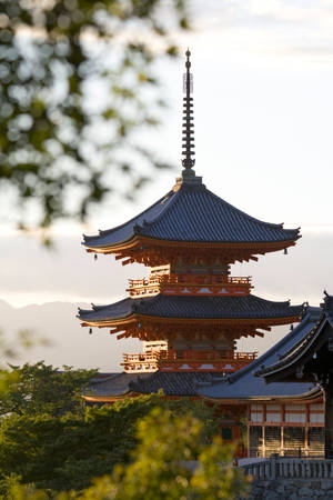 日出時，一座紅藍相間的寶塔寺廟被綠樹環繞。 — 日本 壁紙