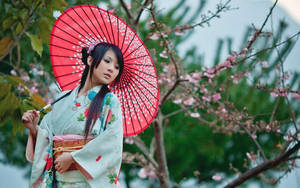 花卉和服女士在櫻花下拿著紅色陽傘。 — 日本 壁紙