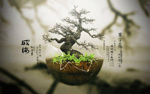 一棵盆景樹從裂開的地球球體中長出，帶有日文字。 — 植物 壁紙