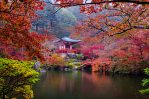 紅色日本亭閣和橋樑倒映在秋樹間的水中。