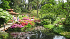 一個寧靜的日本花園，有色彩繽紛的花朵、橋樑和一個被樹木環繞的睡蓮池塘。