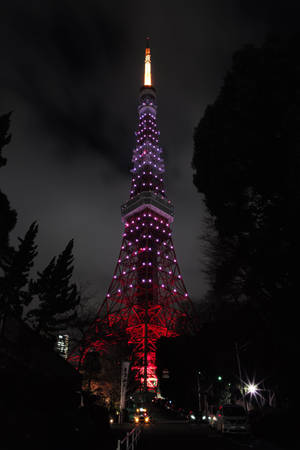 東京塔在夜晚被紅光和紫光照亮，周圍環繞著樹木。