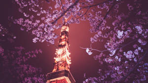 櫻花環繞著夜晚點亮的東京塔。 — 日本 壁紙