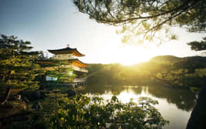 金色寺廟亭閣在日落時倒映在水中，周圍環繞著松樹。