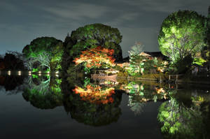 夜晚，燈光照亮的樹木和花園建築倒映在平靜的水面上。 — 日本 壁紙